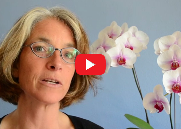 Kristina Amelong, CCT, CNC